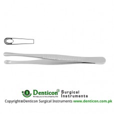 Russian Modell Dissecting Forceps Stainless Steel, 25.5 cm - 10"